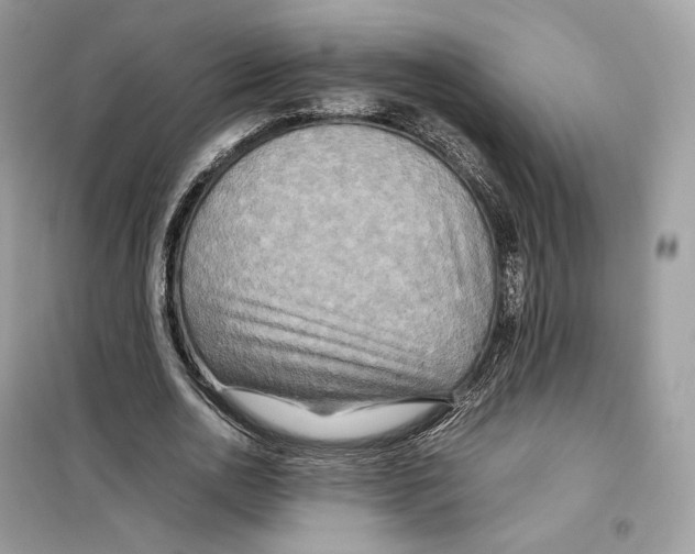 X0000099230726200805221835