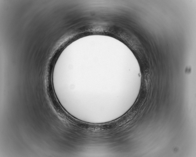 X0000099230728200805221835