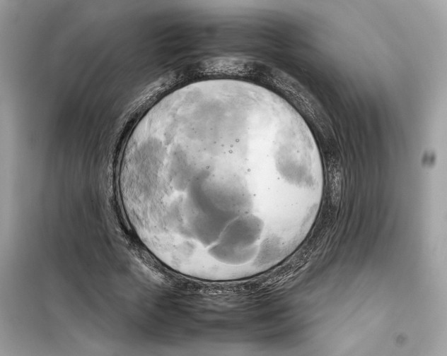 X0000099230729200805221835