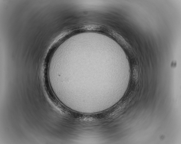 X0000099230730200805221835