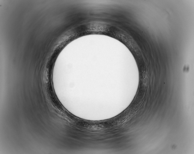 X0000099230731200805221835