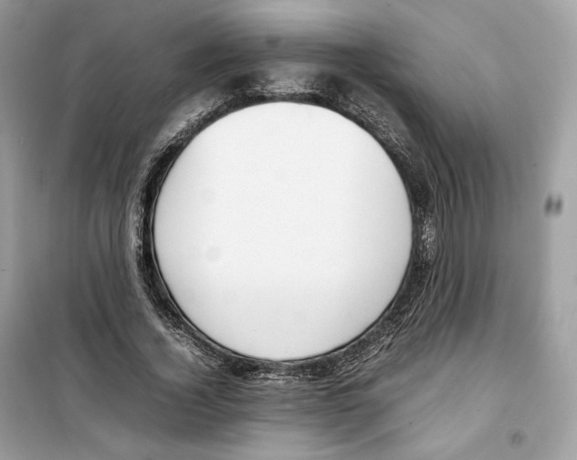 X0000099230732200805221835