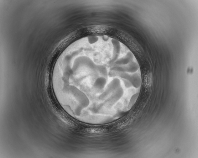 X0000099230733200805221835