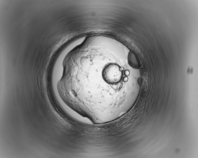 X0000099230734200805221835