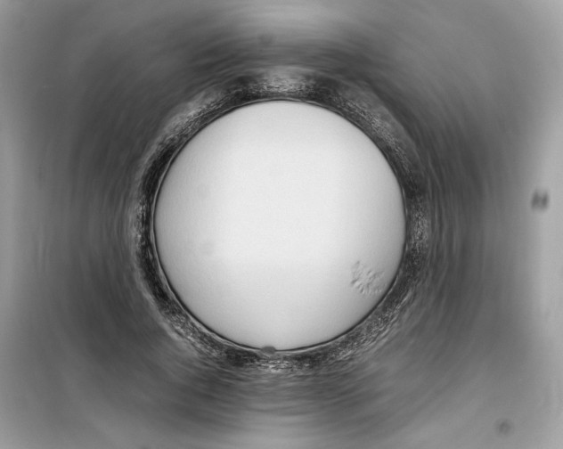 X0000099230736200805221836