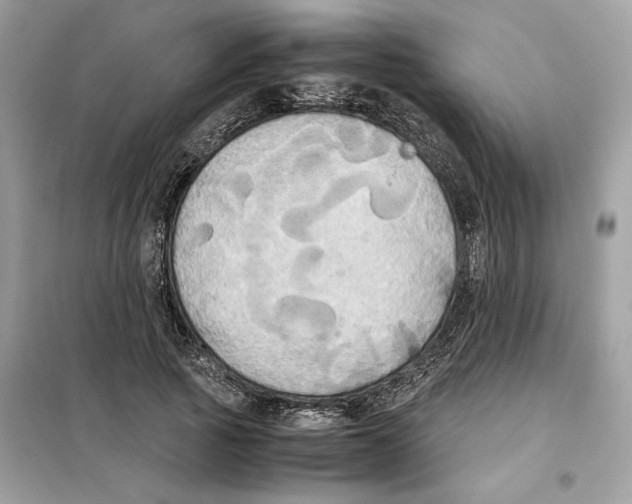 X0000099230737200805221836