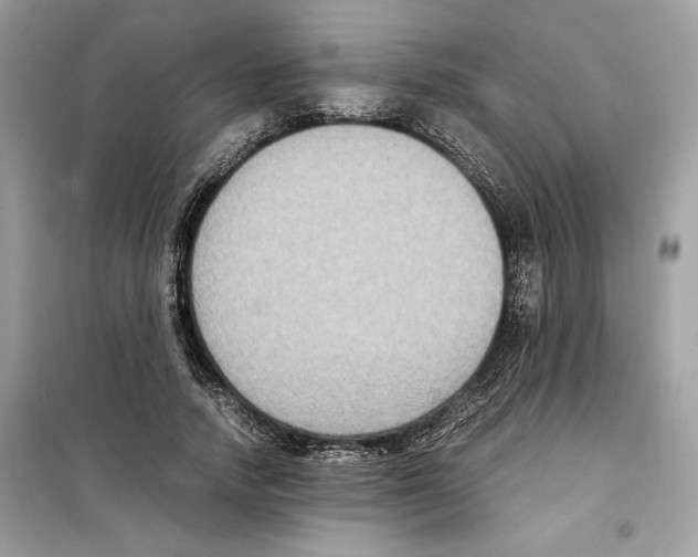 X0000099230738200805221836