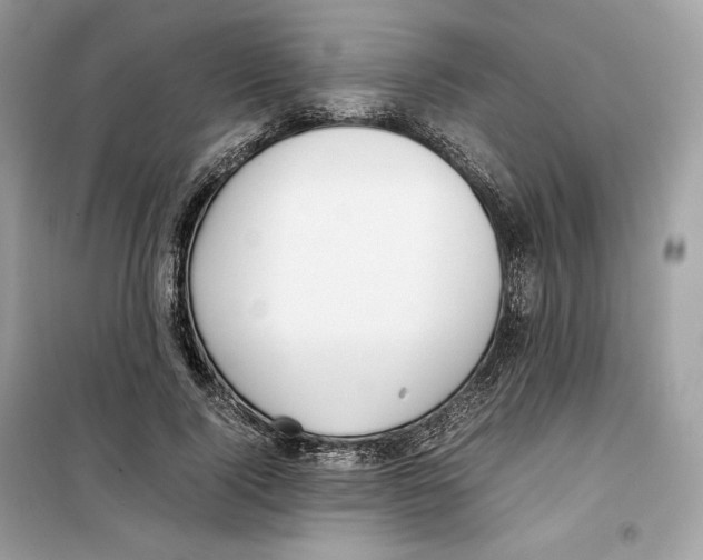 X0000099230740200805221836