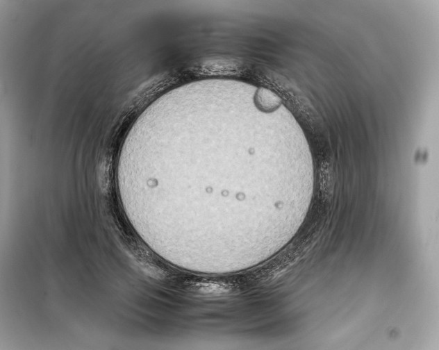 X0000099230741200805221836