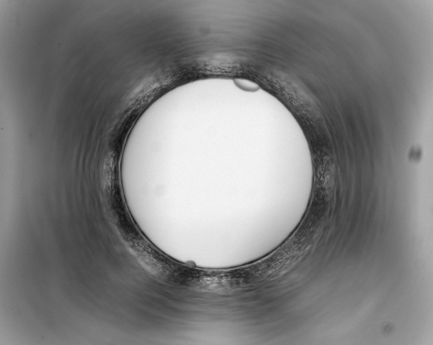 X0000099230744200805221836