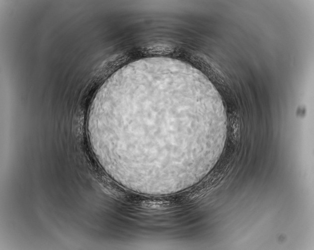 X0000099230745200805221836