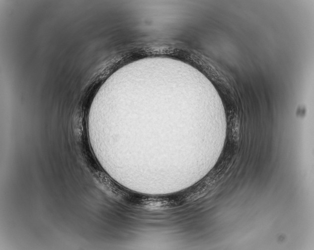 X0000099230746200805221836