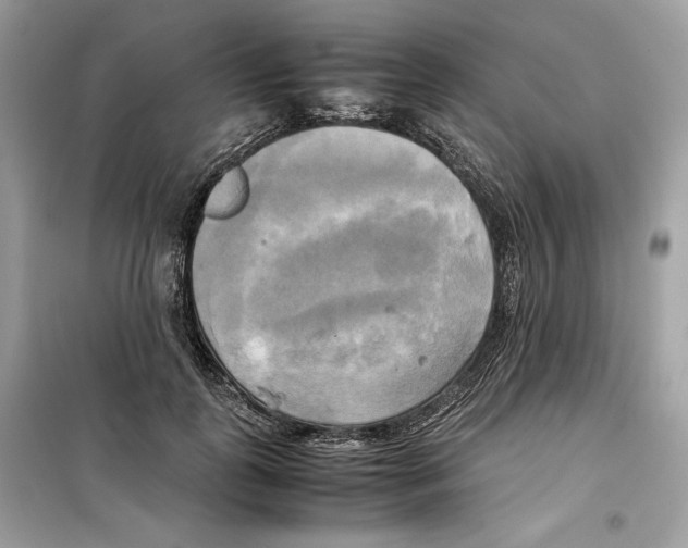 X0000099230747200805221836