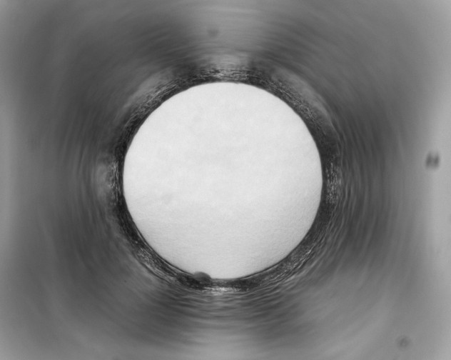 X0000099230748200805221836