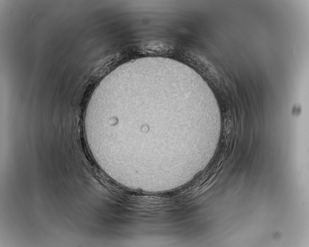 X0000099230749200805221836