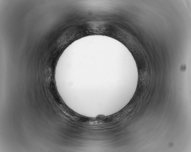 X0000099230752200805221836