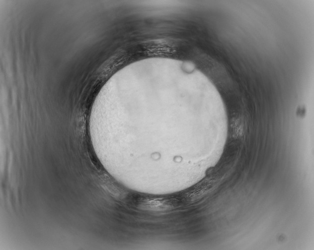 X0000099230753200805221836