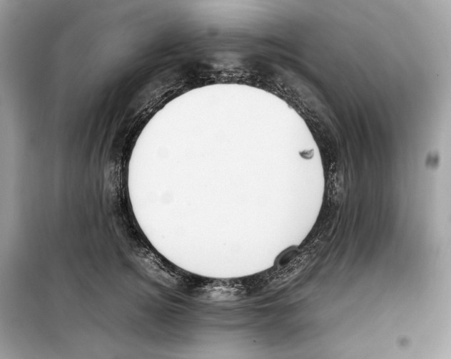 X0000099230756200805221836