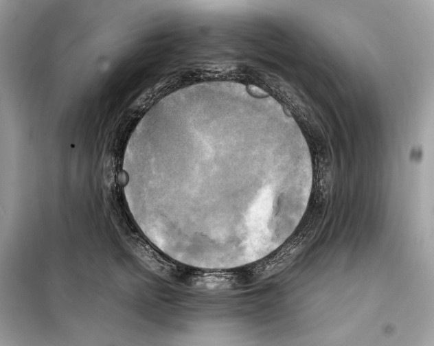 X0000099230758200805221836