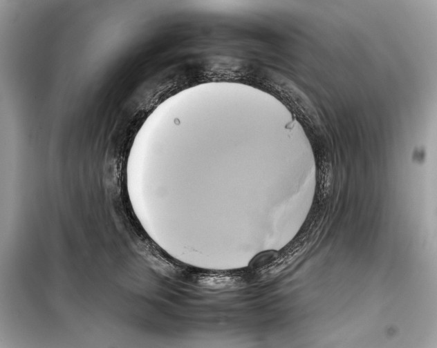 X0000099230759200805221836