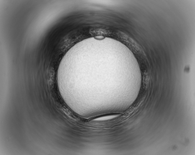 X0000099230760200805221836