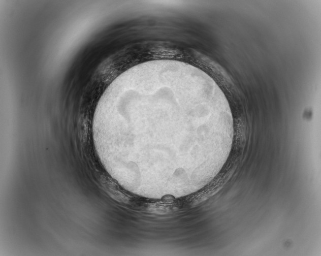 X0000099230761200805221836