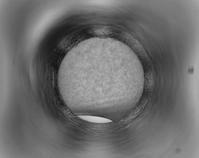 X0000099230762200805221836