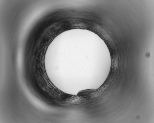 X0000099230764200805221836