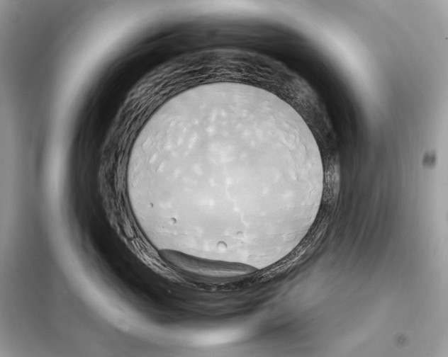 X0000099230765200805221836