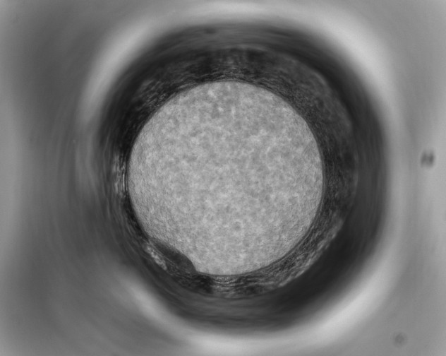 X0000099230766200805221836