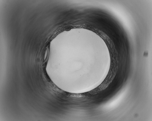 X0000099230767200805221836