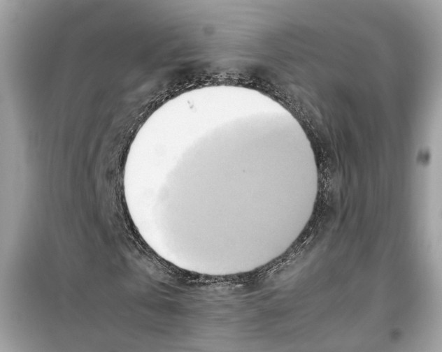 X0000099230769200805221835