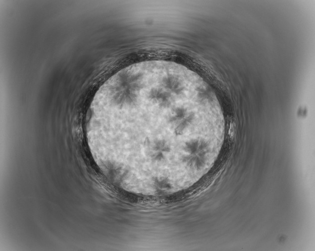 X0000099230771200805221835