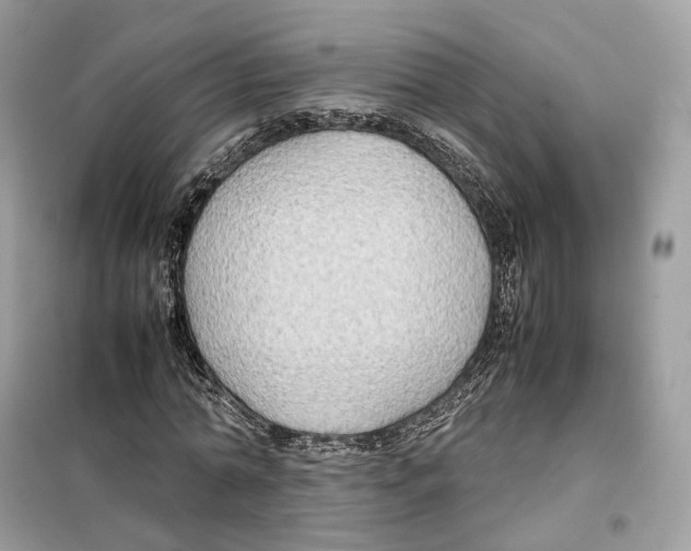 X0000099230774200805221835