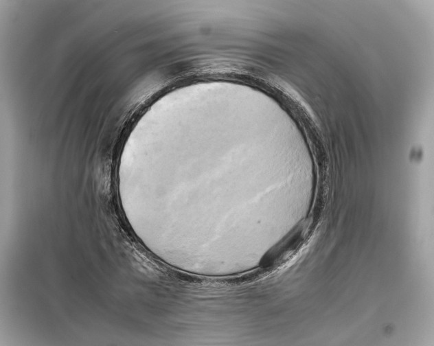 X0000099230777200805221835