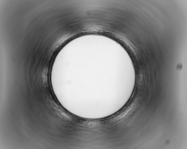 X0000099230778200805221835