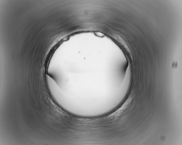 X0000099230781200805221835