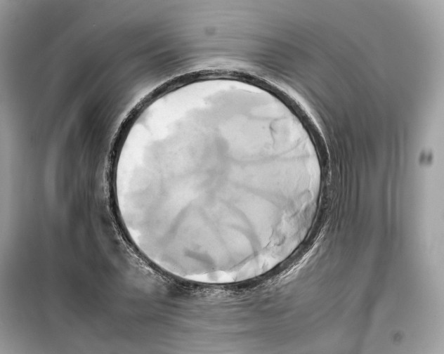 X0000099230783200805221835