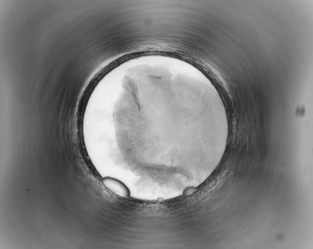 X0000099230784200805221835