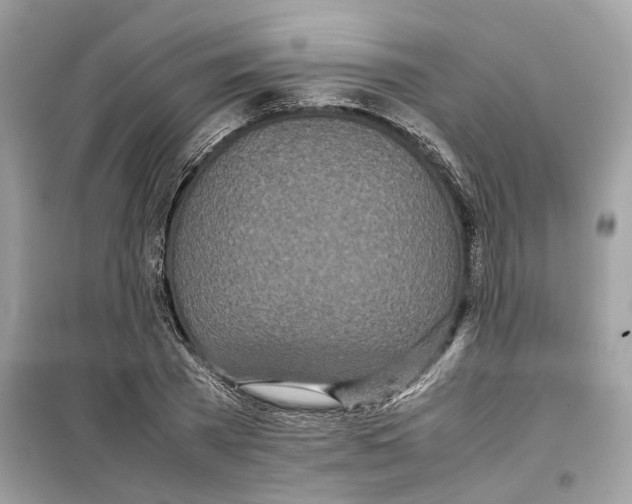 X0000099230785200805221835