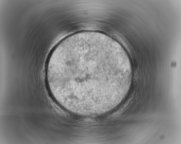 X0000099230787200805221835