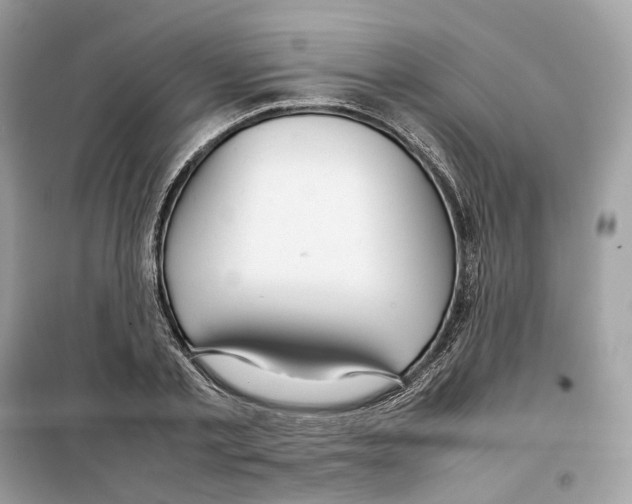 X0000099230789200805221835