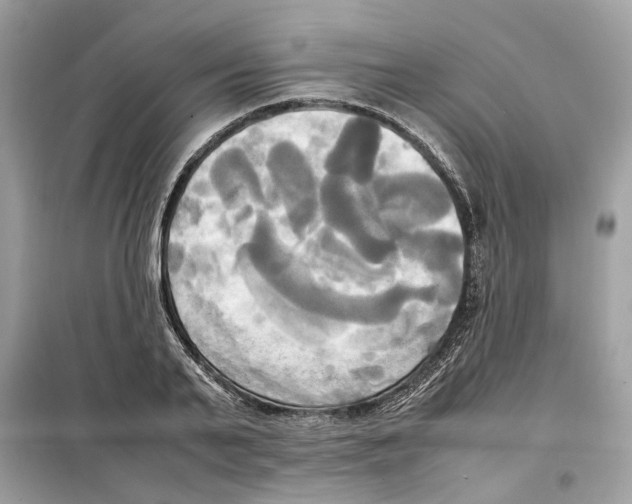 X0000099230791200805221835