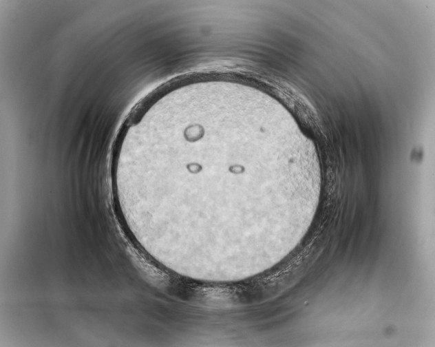 X0000099230792200805221835