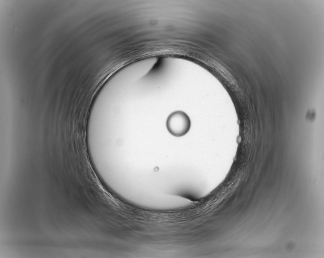 X0000099230793200805221835