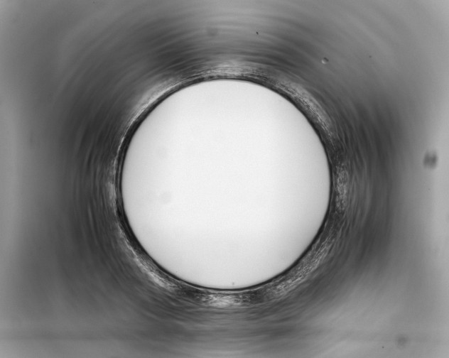 X0000099230794200805221835