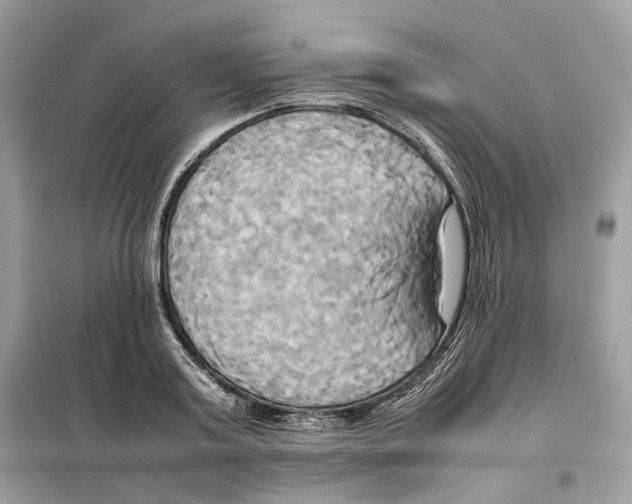 X0000099230795200805221835