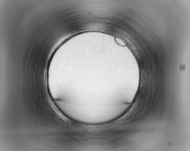 X0000099230796200805221835