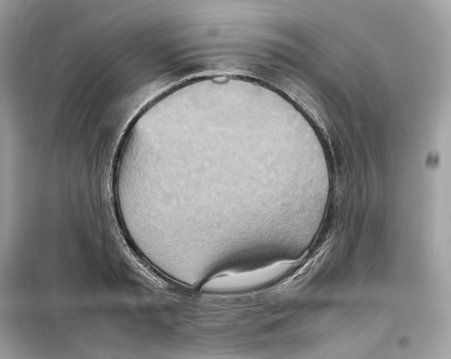 X0000099230797200805221835