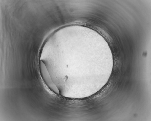 X0000099230800200805221835